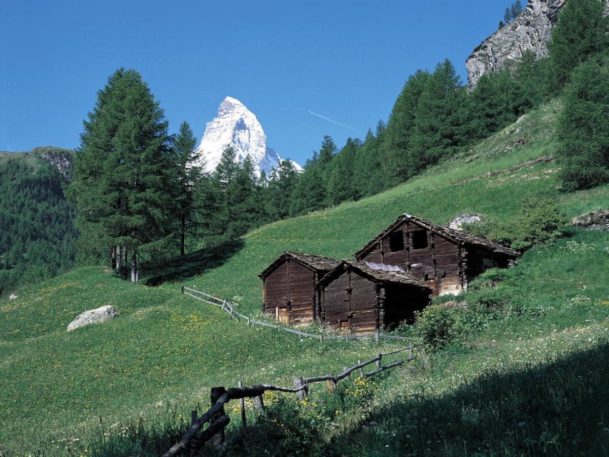 Apartment Apollo By Interhome Zermatt Extérieur photo